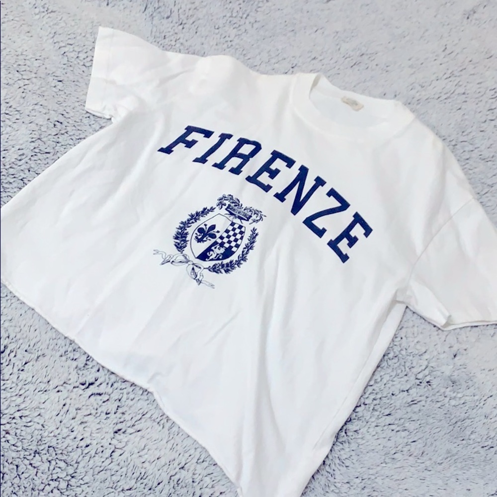 Brandy Melville Firenze Crop Top